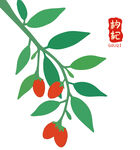 枸杞枝上红果绿叶中药养生茶饮