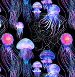 水母海洋生物