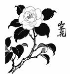 山茶花插画