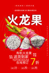 火龙果