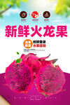 火龙果
