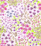 花卉图案背景 色彩缤纷