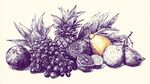 手绘缤纷水果组合