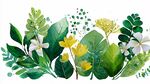 清新绿植花卉水彩画