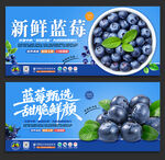 蓝莓