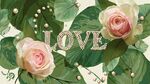 浪漫玫瑰与珍珠装饰LOVE