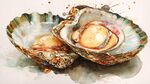 水彩绘双牡蛎展现海洋美味