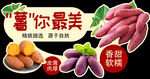 多彩甘薯展示 美味又软糯