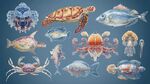 海洋生物手绘插画集合