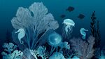 梦幻海底世界海洋生物图景