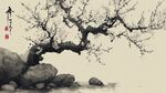 水墨梅花倚石图