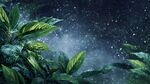 雨夜中的翠绿植物景观