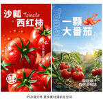 西红柿