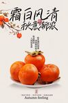 霜降节气传统海报