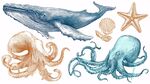 海洋生物手绘插画集合