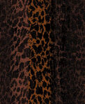 豹纹图案布料纹理