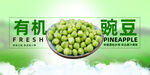 豌豆
