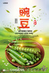 豌豆