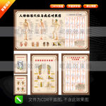 人体标准穴位图