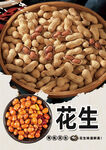 花生