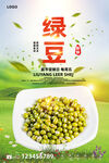 绿豆