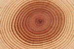 木纹年轮