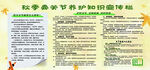 秋季骨关节养护知识宣传栏