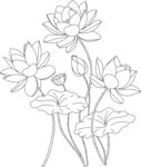荷花线描图案 矢量图