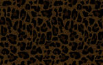 豹纹图案纹理背景