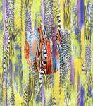 扫描橘色豹纹照片