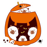 南瓜中的可爱动物们