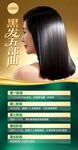 美发养育发头皮护理头发健康海报