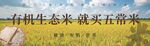 有机生态米五常米水稻海报灯箱