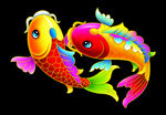 彩色双锦鲤插画