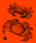 大闸蟹插画