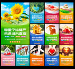 救助站文化墙图片