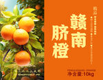 赣南脐橙
