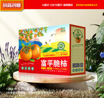 柿子包装 柿饼礼盒