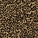 豹纹图案纹理