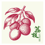 手绘荔枝图