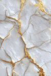 奢华金纹大理石