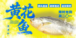 黄花鱼