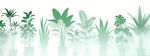 雾气磨砂膜效果绿植贴图