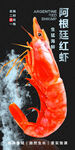 阿根廷红虾