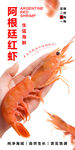 阿根廷红虾