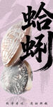 蛤蜊 