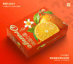 桔子包装 水果包装