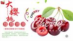 大樱桃