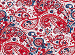 红蓝佩斯利花纹图案