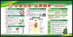 世界无烟日宣传栏
